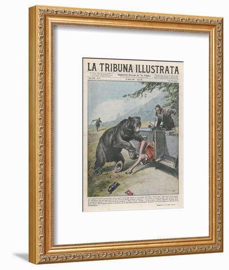 In Yellowstone a Bear Pats a Woman in a Car-Vittorio Pisani-Framed Art Print