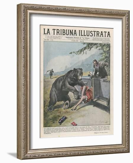 In Yellowstone a Bear Pats a Woman in a Car-Vittorio Pisani-Framed Art Print