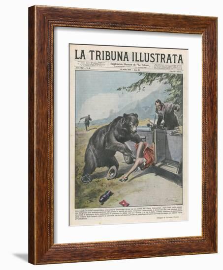 In Yellowstone a Bear Pats a Woman in a Car-Vittorio Pisani-Framed Art Print