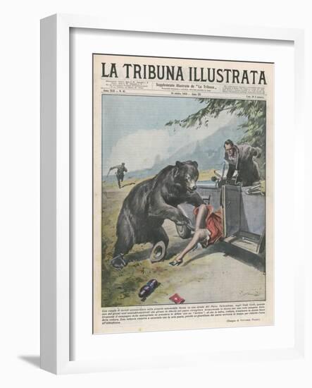 In Yellowstone a Bear Pats a Woman in a Car-Vittorio Pisani-Framed Art Print