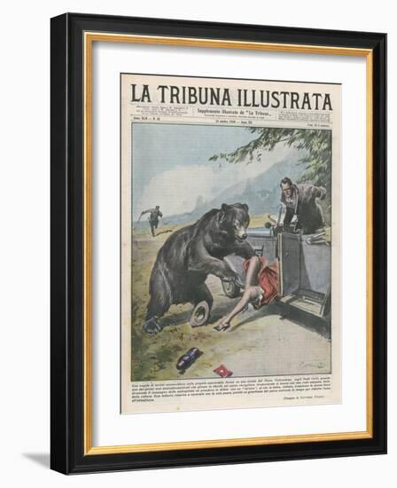 In Yellowstone a Bear Pats a Woman in a Car-Vittorio Pisani-Framed Art Print