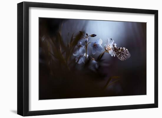 In Your Dreams, Everything Is Alright-Fabien Bravin-Framed Giclee Print