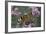 Inachis Io (Peacock Butterfly, European Peacock)-Paul Starosta-Framed Photographic Print