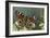 Inachis Io (Peacock Butterfly, European Peacock)-Paul Starosta-Framed Photographic Print