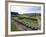 Inca Ruins, Historic Centre of Santa Ana De Los Rios De Cuenca, Cuenca, Ecuador-Christian Kober-Framed Photographic Print