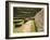 Inca Site of Tipon, Cusco, Peru-Diane Johnson-Framed Photographic Print