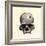 Inca Skull Showing Evidence of Prehistoric Trephining or Brain Surgery in Peru-null-Framed Giclee Print