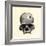 Inca Skull Showing Evidence of Prehistoric Trephining or Brain Surgery in Peru-null-Framed Giclee Print