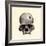 Inca Skull Showing Evidence of Prehistoric Trephining or Brain Surgery in Peru-null-Framed Giclee Print