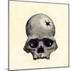 Inca Skull Showing Evidence of Prehistoric Trephining or Brain Surgery in Peru-null-Mounted Giclee Print