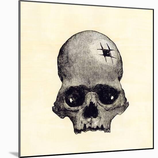 Inca Skull Showing Evidence of Prehistoric Trephining or Brain Surgery in Peru-null-Mounted Giclee Print