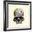 Inca Skull Showing Evidence of Prehistoric Trephining or Brain Surgery in Peru-null-Framed Giclee Print