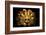 Inca Sun God Mask-null-Framed Art Print