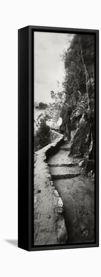 Inca Trail at the Mountainside, Machu Picchu, Cusco Region, Peru-null-Framed Premier Image Canvas