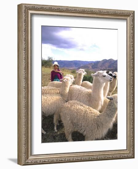 Inca Woman in Costume with Llamas, Cuzco, Peru-Bill Bachmann-Framed Photographic Print