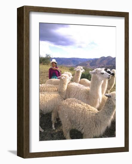 Inca Woman in Costume with Llamas, Cuzco, Peru-Bill Bachmann-Framed Photographic Print