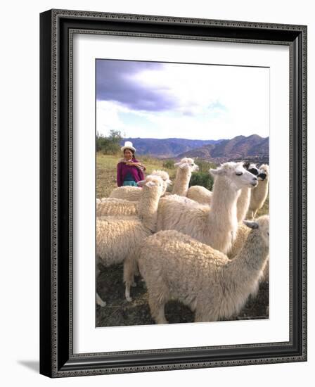 Inca Woman in Costume with Llamas, Cuzco, Peru-Bill Bachmann-Framed Photographic Print