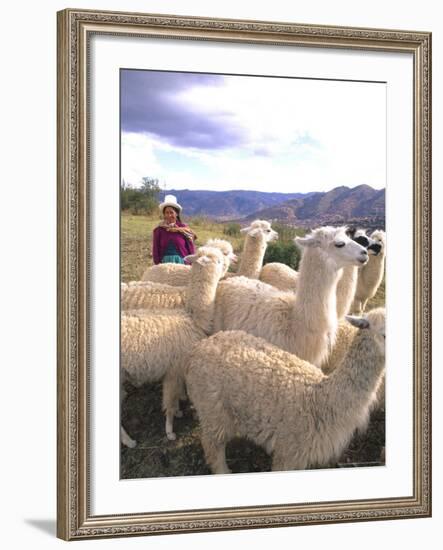 Inca Woman in Costume with Llamas, Cuzco, Peru-Bill Bachmann-Framed Photographic Print