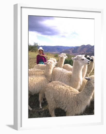 Inca Woman in Costume with Llamas, Cuzco, Peru-Bill Bachmann-Framed Photographic Print