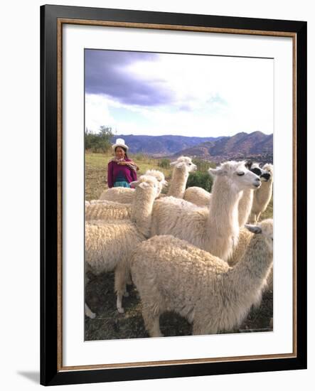 Inca Woman in Costume with Llamas, Cuzco, Peru-Bill Bachmann-Framed Photographic Print