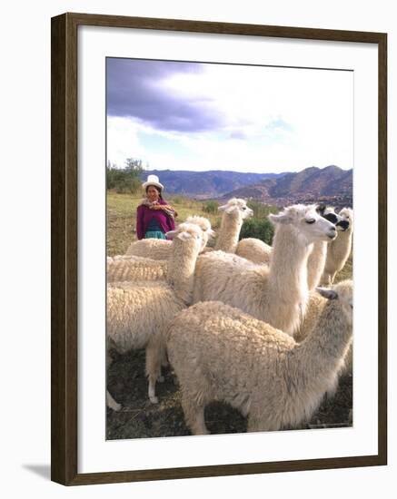 Inca Woman in Costume with Llamas, Cuzco, Peru-Bill Bachmann-Framed Photographic Print