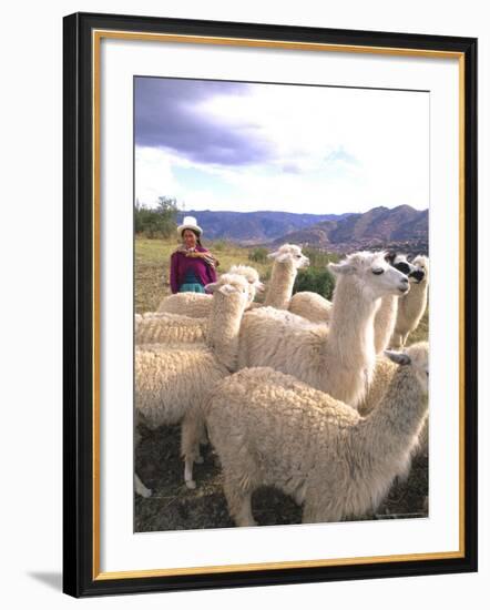 Inca Woman in Costume with Llamas, Cuzco, Peru-Bill Bachmann-Framed Photographic Print