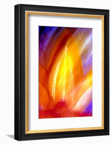 Incandescence-Douglas Taylor-Framed Photographic Print