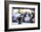 Incense burning at a Hindu temple in New Delhi, India, Asia-Matthew Williams-Ellis-Framed Photographic Print