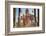 Incense Sticks at Ten Thousand Buddhas Monastery, Shatin, New Territories, Hong Kong, China, Asia-Ian Trower-Framed Photographic Print