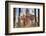 Incense Sticks at Ten Thousand Buddhas Monastery, Shatin, New Territories, Hong Kong, China, Asia-Ian Trower-Framed Photographic Print