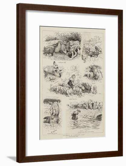 Incidents of Farmyard Life-Edward Killingworth Johnson-Framed Giclee Print