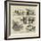 Incidents of Mail-Cart Travelling in South Africa-null-Framed Giclee Print