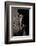 Incilius Cavifrons (Mountain Toad)-Paul Starosta-Framed Photographic Print