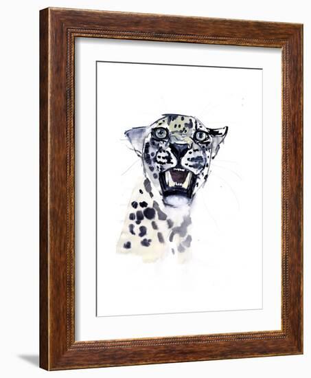 Incisor Snarl (Arabian Leopard), 2008-Mark Adlington-Framed Giclee Print