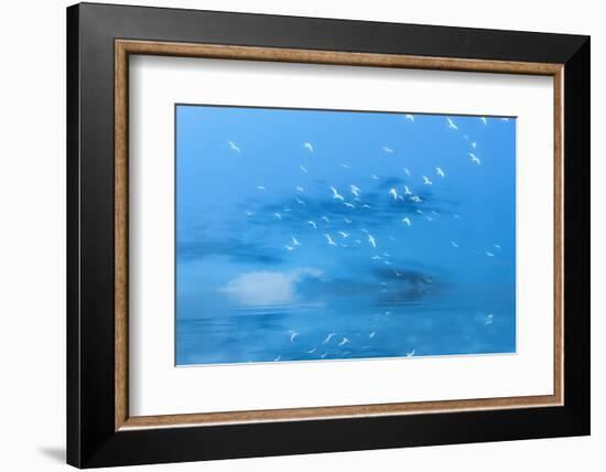 Incoming in Blue-Philippe Sainte-Laudy-Framed Photographic Print