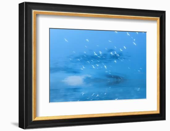 Incoming in Blue-Philippe Sainte-Laudy-Framed Photographic Print