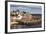 Incoming Tide at Crail Harbour, Fife, Scotland, United Kingdom, Europe-Mark Sunderland-Framed Photographic Print