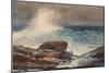 Incoming Tide, Scarboro, Maine, by Winslow Homer, 1883, American painting,-Winslow Homer-Mounted Art Print