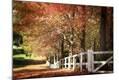 Photographic Print