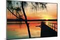 Photographic Print