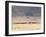 Incredible Maasai-Mathilde Guillemot-Framed Photographic Print