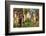 Indein Stupa Complex, Inle Lake, Myanmar-Keren Su-Framed Photographic Print