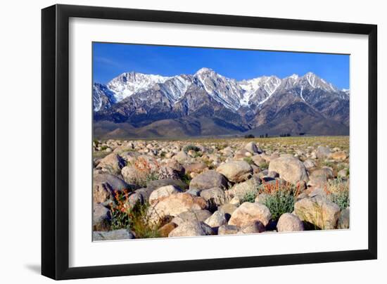 Independence Morning-Douglas Taylor-Framed Photo