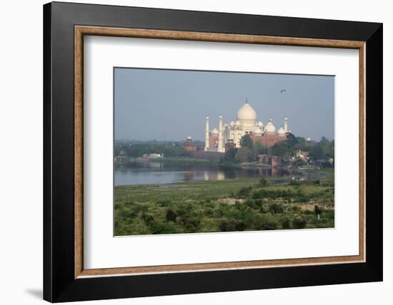 India, Agra. Taj Mahal from the Red Fort of Agra. Sandstone Fortress-Cindy Miller Hopkins-Framed Photographic Print