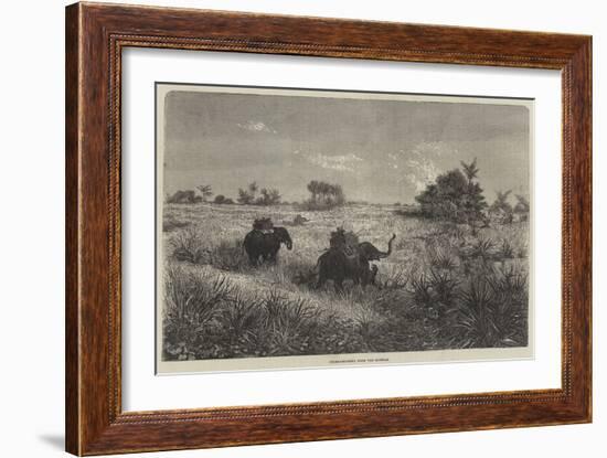 India and the Prince of Wales, Tiger-Shooting from the Howdah-Frederic Theodore Lix-Framed Giclee Print