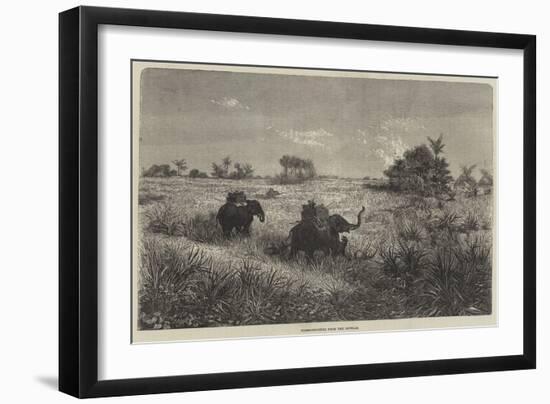 India and the Prince of Wales, Tiger-Shooting from the Howdah-Frederic Theodore Lix-Framed Giclee Print
