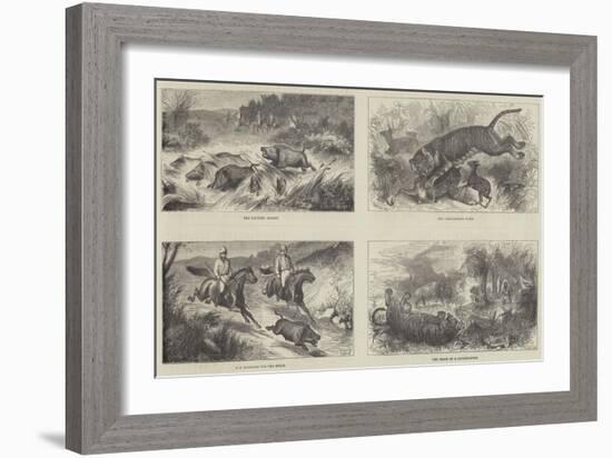 India and the Prince of Wales-Harrington Bird-Framed Giclee Print