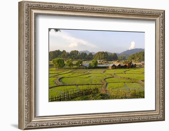 India, Arunachal Pradesh, Ziro Valley-Amar Grover-Framed Photographic Print