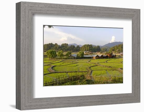 India, Arunachal Pradesh, Ziro Valley-Amar Grover-Framed Photographic Print