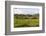 India, Arunachal Pradesh, Ziro Valley-Amar Grover-Framed Photographic Print